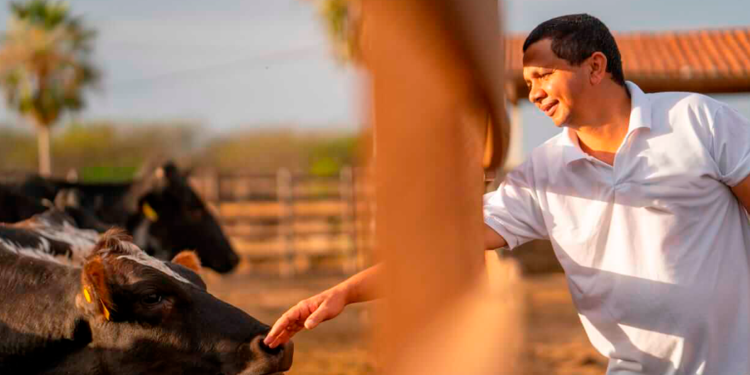 Plano Safra deve ter R$ 80 bi para agricultura familiar e incentivo para cooperativas e leite