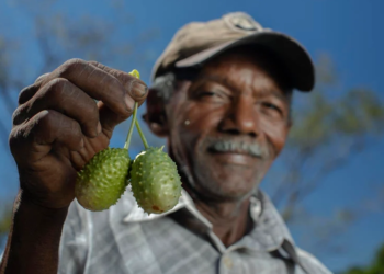 Cooperativismo fortalece a agricultura familiar em Minas Gerais