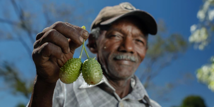 Cooperativismo fortalece a agricultura familiar em Minas Gerais