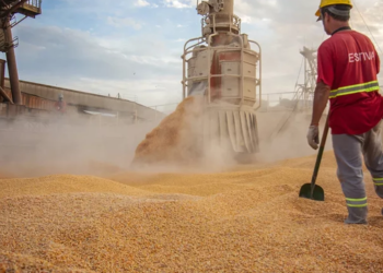 Exportações do agronegócio brasileiro atingem US$ 15,20 bi em junho