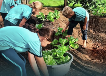 Cooperativa financeira apoia projeto que leva educação empreendedora a escolas rurais