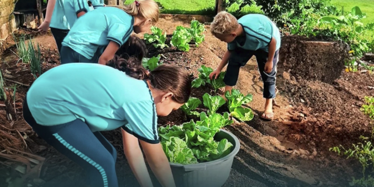 Cooperativa financeira apoia projeto que leva educação empreendedora a escolas rurais