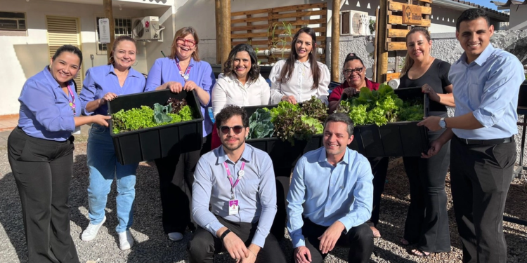 Projeto de Instituto transforma horta aquapônica em fonte de alimentos para comunidades vulneráveis