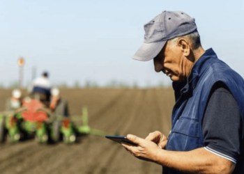 Projeto de conectividade rural de cooperativa melhora qualidade de vida de produtores no RS