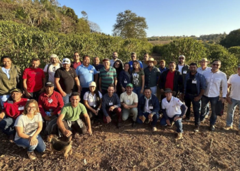 Missão técnica leva produtores de cacau do Pará para conhecer cooperativas de café de Minas Gerais