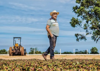 Cooperativas se destacam no Plano Safra e crédito rural registra crescimento anual