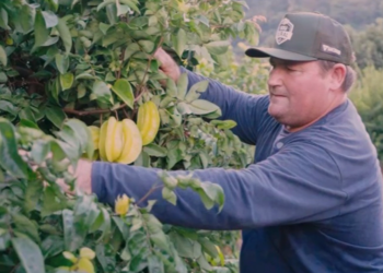 Produtor rural de Itarana ganha prêmio nacional de sustentabilidade