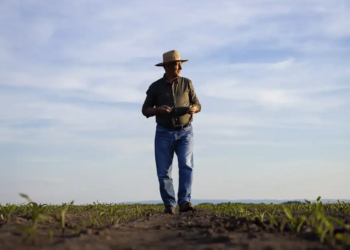 Governo prepara linha de crédito para cooperativas agropecuárias