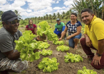 Governo da Paraíba firma parceria para incentivar cooperativas de agricultores