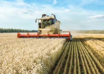 BNDES anuncia regras para linha de crédito em apoio as cooperativas agro