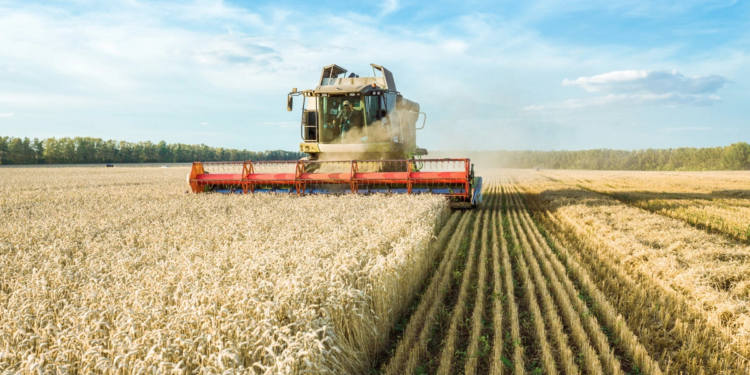 BNDES anuncia regras para linha de crédito em apoio as cooperativas agro