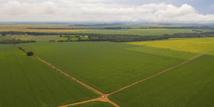 STF valida compensação de Reserva Legal entre imóveis do mesmo bioma