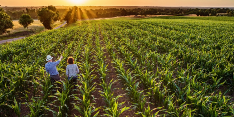 BNDES financia modernização do agronegócio e impulsiona sustentabilidade no setor