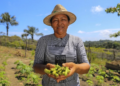 Cooperativas de crédito aumentam rentabilidade no campo