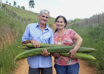 Coops goianas de agricultura familiar ampliam faturamento com programas de apoio