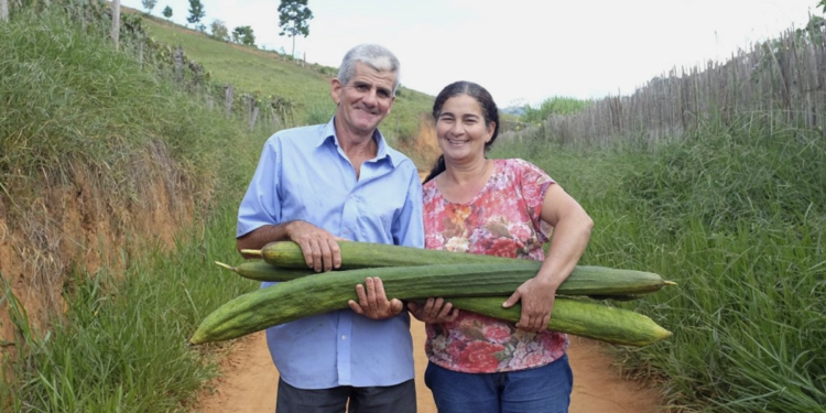 Coops goianas de agricultura familiar ampliam faturamento com programas de apoio