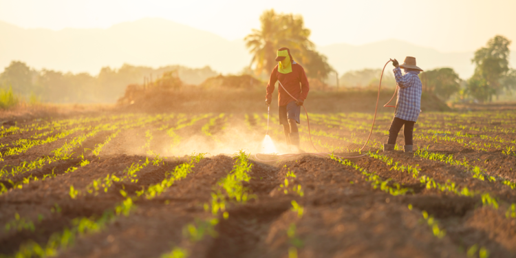 Cooperativismo agrícola se consolida como motor de desenvolvimento sustentável e social