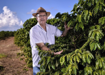 Cooperativa vê aumento acelerado da tomada de crédito pelo setor cafeeiro