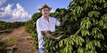 Cooperativa vê aumento acelerado da tomada de crédito pelo setor cafeeiro