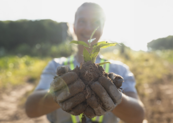 CoopsParty: para cada inscrição, uma árvore será plantada no Bosque do Cooperativismo em Goiás