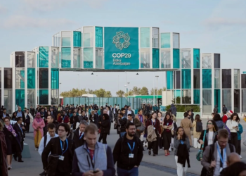 Cooperativas brasileiras reforçam destaque internacional na COP29