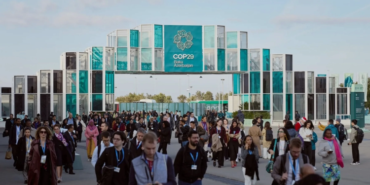 Cooperativas brasileiras reforçam destaque internacional na COP29