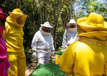 Projeto que busca revitalizar mananciais e preservar matas ciliares é apresentado em cooperativa