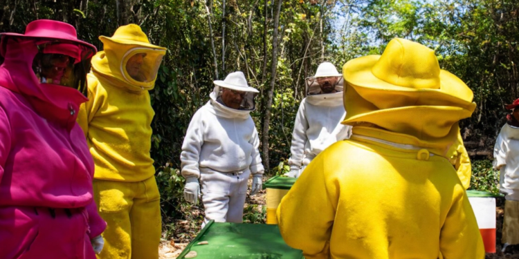 Projeto que busca revitalizar mananciais e preservar matas ciliares é apresentado em cooperativa