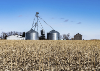 Missão do Nova Indústria Brasil transforma cadeias agroindustriais e impulsiona cooperativas