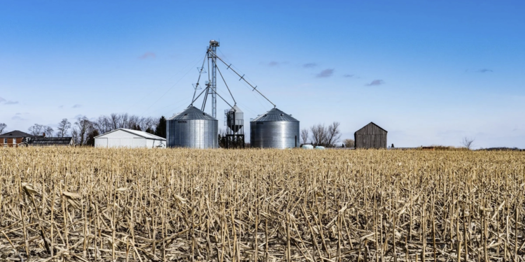 Missão do Nova Indústria Brasil transforma cadeias agroindustriais e impulsiona cooperativas