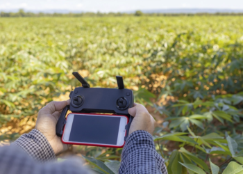 Iniciativa contribui com o desenvolvimento e aprimoramento de cooperativas do setor agro no Paraná