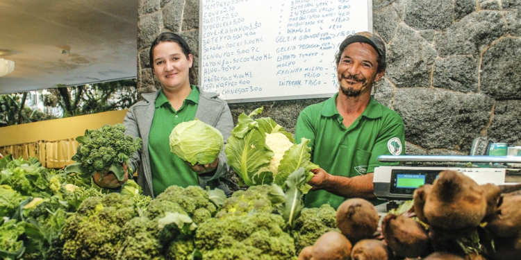 Conselho do Ramo Crédito beneficia cooperativa da agricultura familiar