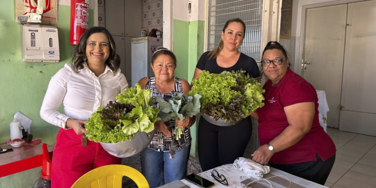 Cooperativa celebra um ano do Projeto UniHorta e impacta mais de 300 pessoas