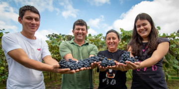 Parceria entre cooperativas gera suco de uva diferenciado e fortalece viticultura familiar