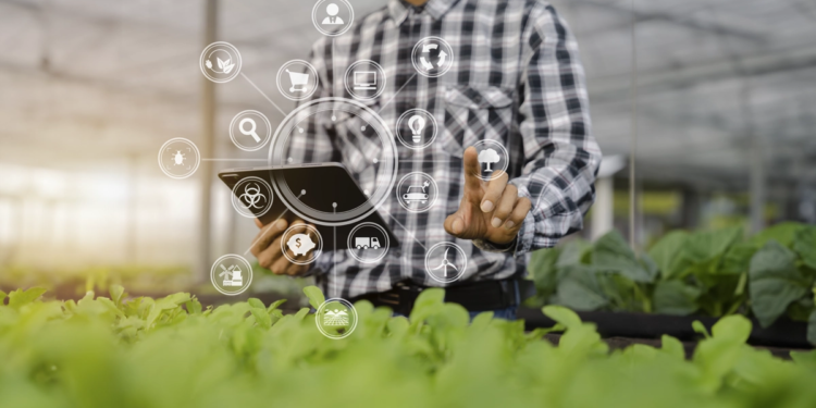 Estudo destaca as tecnologias em alta no agronegócio em 2025