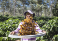 São Paulo passará a comprar café diretamente de cooperativas de agricultura familiar