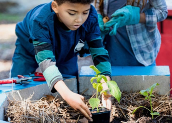 Cooperativa cria Instituto para ampliar atuação em desenvolvimento humano e sustentabilidade