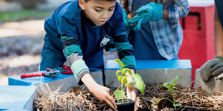 Cooperativa cria Instituto para ampliar atuação em desenvolvimento humano e sustentabilidade