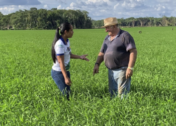 São Paulo lança plano para fortalecer cooperativismo rural no estado