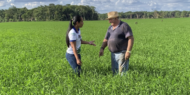 São Paulo lança plano para fortalecer cooperativismo rural no estado