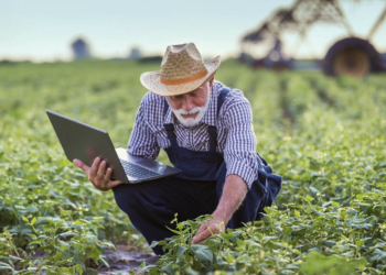 “Precisamos de Internet e 77% das Áreas Não Têm”, diz Presidente da ConectarAGRO