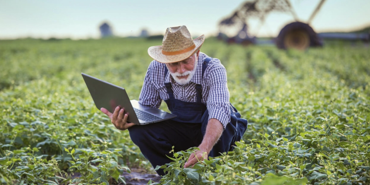 “Precisamos de Internet e 77% das Áreas Não Têm”, diz Presidente da ConectarAGRO