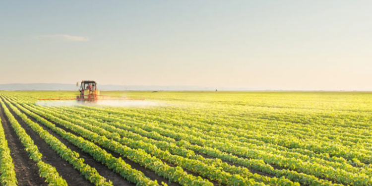 Cooperativa agropecuária publica nova edição de Relatório de Sustentabilidade