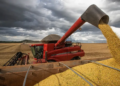 Cooperativismo fortalece exportações em ano recorde para o agro mineiro