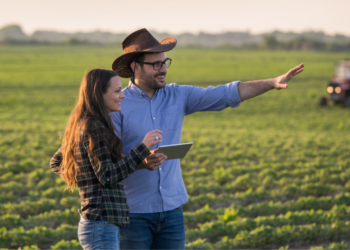 Cooperativa agrícola avança no mercado internacional