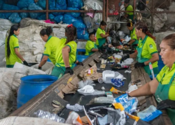 Cooperativa de reciclagem auxilia na autonomia financeira de cooperadas alagoanas