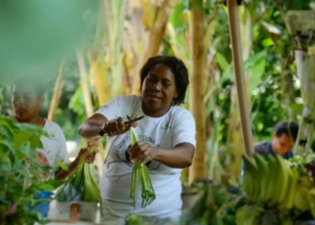 Campanha mostra impacto do cooperativismo através de história real de cooperados