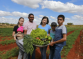 Agricultura familiar ganha força com o cooperativismo
