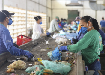 Cooperativas de catadores crescem e se tornam força motriz da reciclagem no Brasil