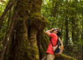 Cooperativismo fortalece turismo sustentável em Minas Gerais